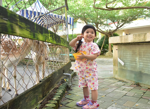 暑假親子遊超前部屬 墾丁福華免費招待兒童住宿