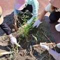 守護臺灣原生種與物種多樣性，裕隆汽車捐淺山植群樹種守護棲地，攜手產官學共創永續未來！