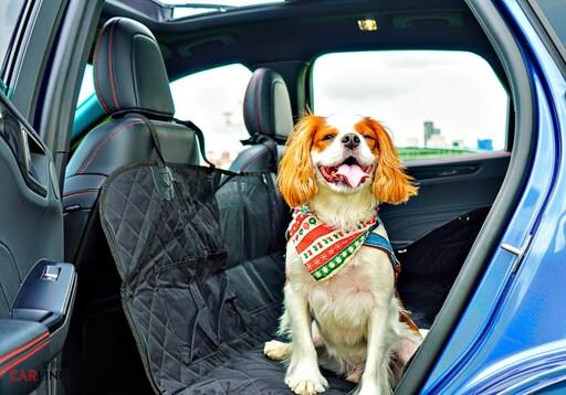 全球最大共享汽車平台Zipcar推出全台唯一的寵物友善共享汽車寵物友善方案！