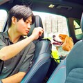 全球最大共享汽車平台Zipcar推出全台唯一的寵物友善共享汽車寵物友善方案！