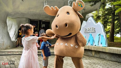 適逢臺北市立動物園110年園慶，VOLVO加入動物認養計畫，認養園內明星極圈動物國王企鵝！