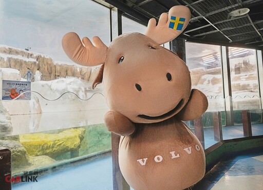 適逢臺北市立動物園110年園慶，VOLVO加入動物認養計畫，認養園內明星極圈動物國王企鵝！