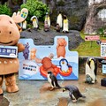 VOLVO與臺北市立動物園合作計畫進一步擴大，打造企鵝館內及館外周邊成為永續互動展場！