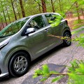 小車大觀園！Kia新Picanto Apex