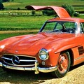 1956 Mercedes-Benz 300SL與1964 Shelby Cobra 289分別找到新買主！