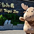 VOLVO攜臺北市立動物園二度投身動物保育，擴大守護國王企鵝、黑腳企鵝！
