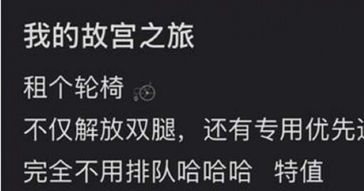 進故宮不想排隊？ 年輕人竟「租輪椅走愛心通道」