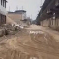 4歲童遭惡犬咬成重傷…爸心疼：右眼保不住 飼主為卸責竟把狗宰了