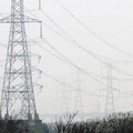 4賊偷「80米高壓電塔」變賣！電力公司損失7百萬 12座被偷光無人知