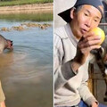 19萬放牛網紅被挖黑歷史 10年前賣「假毒品」入獄…本人認了：給我一條活路