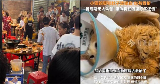 出手救援從天而降骨折燙傷貓 霸氣火鍋店老闆證實「貓咪已返回喵星」