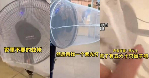 她自製捕蚊神器「5小時抓60隻」掀模仿潮 網讚:幾乎零成本