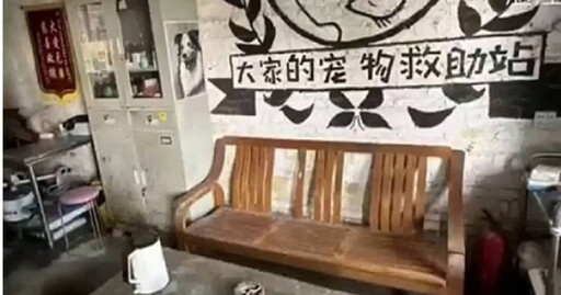 男收養流浪貓狗成立救助站 被爆把動物關到死…持續8年募款涉詐騙
