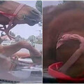 開到一半「突遭馬兒撞上」擋風玻璃全碎！ 女駕駛傻了：要修車還要賠馬