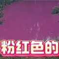 河南驚現粉色水體！洛陽馬屯村村民憂污染 當局採樣化驗追查污染源