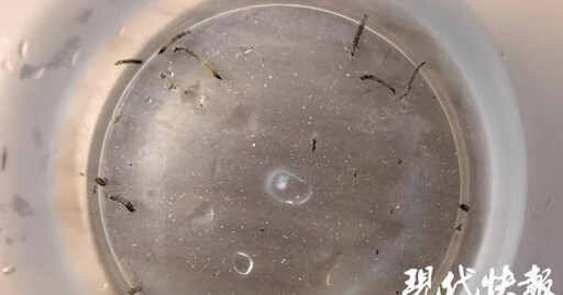 中國8歲女童「口吐活蟲」月餘 沒想到真凶竟是「牠」
