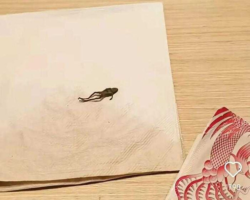 陸知名手搖飲出事 苦主喝到「青蛙屍體」作嘔:一輩子心理陰影