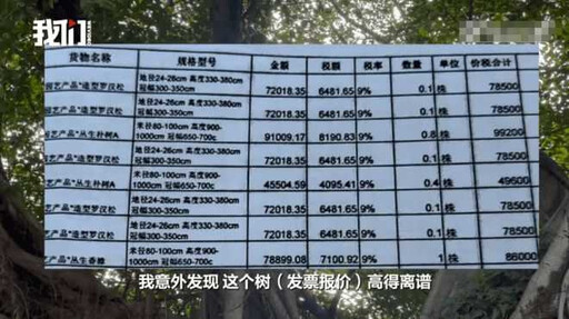 1棵破300萬!公園被檢舉採購「天價樹」 現況曝光:好幾棵已死亡