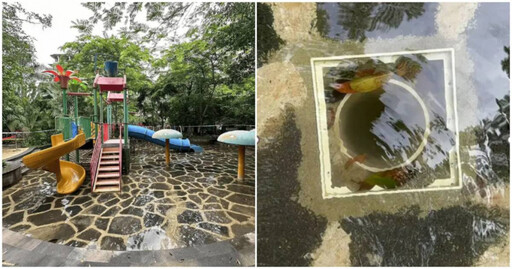 雲南飯店泳池悲劇！6歲女童遭排水口吸住左腿無法脫困 母親眼睜睜看愛女氣絕溺亡