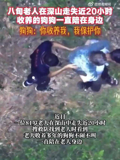 81歲老人深山走失近20小時 收養犬默默守護直至獲救