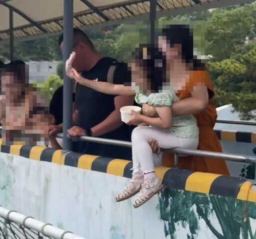 山東威海幼虎慘遭不明女子踹踢棍打 動物園證實：是工作人員