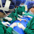 全球罕見頸椎重創如「身首離斷」 上海醫師首創技術手術搶命成功