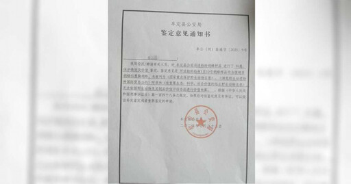 驚悚!兄妹遭蜂群奪命 「哥哥300針妹妹700針」兩歲女童哭不出聲