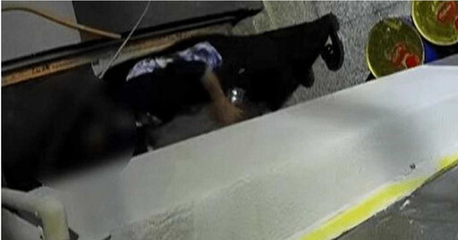 一開門全是糞!女子家雜物間「惡臭彌漫」 監控拍下真相:鄰居母女狂倒貓糞