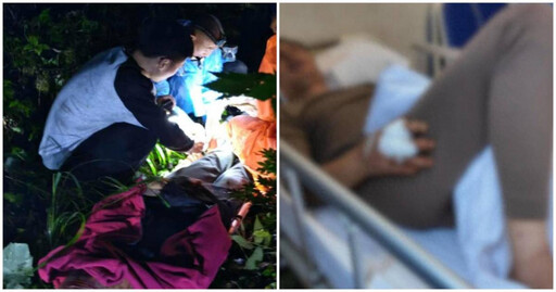 重慶男子上山採菇 遭黑熊襲擊「一巴掌打下山坡」！生還直呼：雨靴救我一命