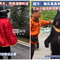 工讀生你出來！安徽動物園「黑熊披袈裟」人立遛達 網友見影片驚呆：是真貨！