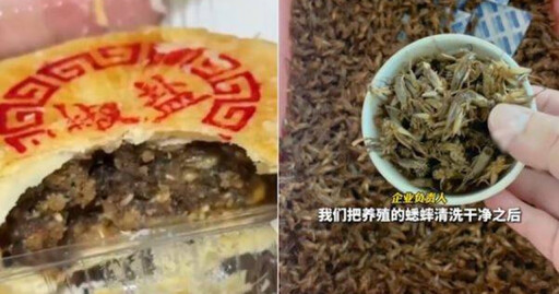 對岸驚現獵奇月餅！「蟋蟀口味」震撼上市 試吃者讚：沒嘗過虧大了