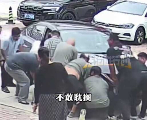 脂肪護體！64公斤狗狗被車輾過竟「毫髮無傷」 醫嘆：太胖要減肥