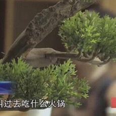 吃鍋也能踩到殺豬盤？中國詐團「免費吃火鍋」誘騙老人投資 600人受騙損失1.8億