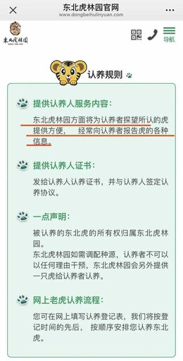 女子兩年繳8800元認養東北虎僅獲一張照!園方竟隱匿死亡消息 她怒:錢也繳了,消息也瞞了