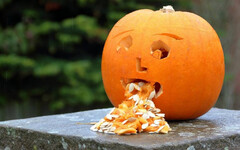 十多天未排便！醫師驚覺老翁「不是便祕」急開刀 滿肚糞便驚見「屎從嘴巴噴出來」