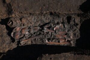 古DNA證實新石器至青銅時代川滇先民主要源自黃河流域