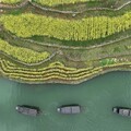 綠「染」荒山：中國西部石漠化山區實現「生態產品價值」