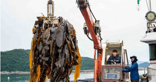 郭泓志前進韓國餵鮑魚 怒嗆姚元浩「趕快想辦法」