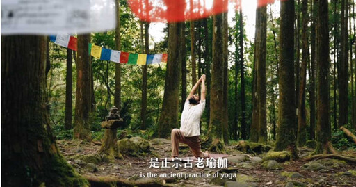 愛莉莎莎「尼泊爾瑜珈」課程賣爆 賣課手段卻激怒昔日老師:妳越這樣講我覺得妳越噁心