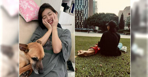 醫原判生命僅剩2小時!米可白愛犬遇奇蹟 她親吐「牠沒有要當天使」