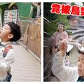 蔡阿嘎遊日驚魂！蔡桃貴餵海豹慘遭「鳥襲」 二伯爆笑反應全被拍