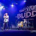 SPYAIR熱唱《排球少年》神曲全場嗨爆 難忘10年前來台遇「最衝擊」體驗