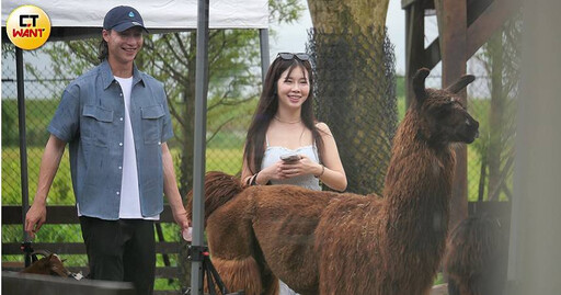 就愛鮮肉3/林襄偷愛小4歲馬傑森 疑因禁愛令轉地下情