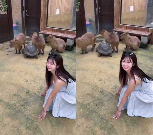 就愛鮮肉1/「小龍女」賴可死會!揪統一獅林佳緯上演8小時馬拉松約會