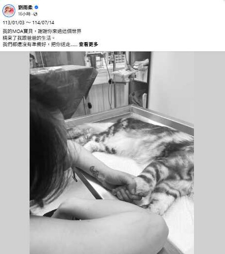 劉雨柔倒數迎產卻痛失愛貓 淚喊「媽媽的肚子等你回來」