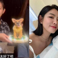 13歲愛犬癌逝！同事1個月後突送「擬真公仔」 米可白當場掉淚：心底最深的思念