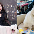 陳文茜罹癌愛犬也得「不治之症」剩6個月壽命 悲求老天爺：別對我這麼殘忍