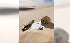 《航海王》真人版第3季宣告開拍！ 喬巴升格主演