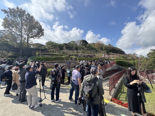 影/花葬直擊！結束精彩一生 瓊瑤長眠陽明山臻善園…林心如全程陪