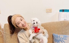 韓雨潔南下送糧救浪浪 唐子元攜鹿希派 寧寧 星野優台南暖力全開